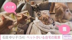 石田ゆり子、服や本が無造作に置かれた「自宅の日常風景」を公開し話題に「ごちゃごちゃしているのにオシャレ！」