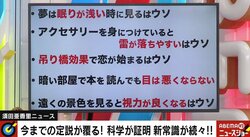 リアルな働きアリ、わずか2.6％だった 驚きの事実に「まるで社会の縮図」の声
