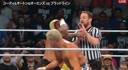 【画像】レフェリーを“完全失神”に追い込んだ酷すぎる誤爆（複数カット）