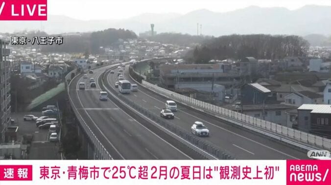 東京・八王子市