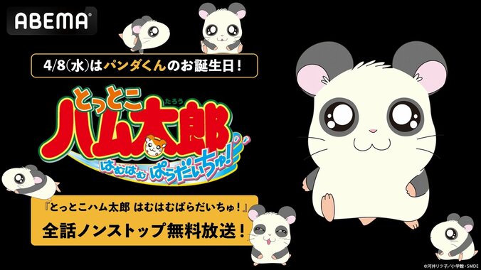 【写真・画像】アニメ『とっとこハム太郎』第2期全103話、パンダくんの誕生日4月8日に無料一挙放送 1枚目