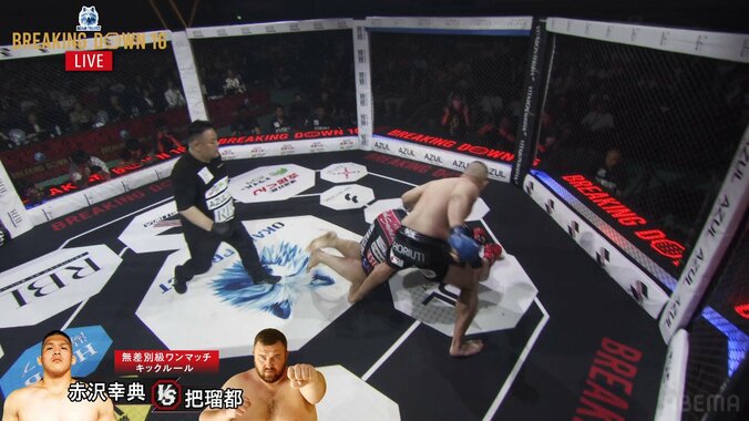 前のめりダウンを喫した把瑠都