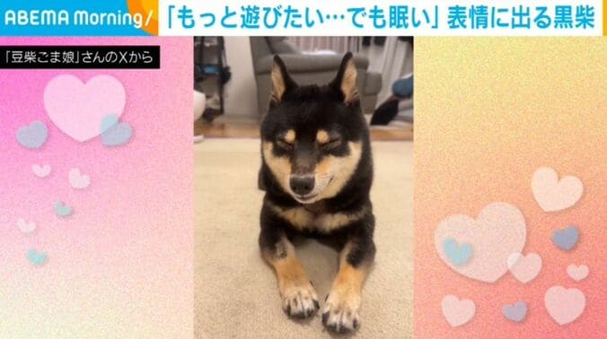 ごまちゃん