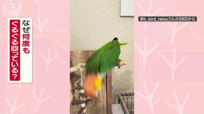 どうして回るの？