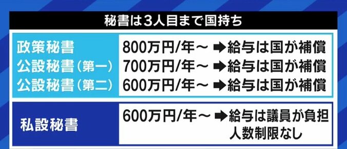 文書交通費100万円問題「寄付という発想は本当にやめて欲しい」 NHK党・立花党首が日本維新の会を批判するワケ 6枚目