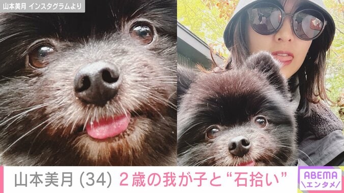 山本美月と愛犬