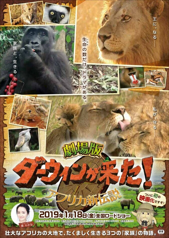 『劇場版 ダーウィンが来た！ アフリカ新伝説』葵わかなナレーション入り本予告映像＆本ビジュアル解禁 2枚目