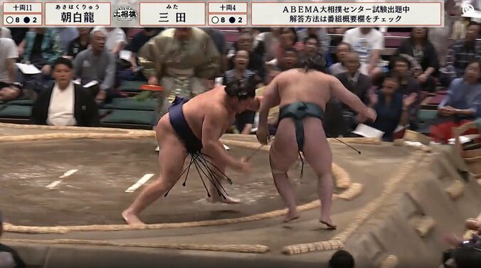 三田を押し出す朝白龍