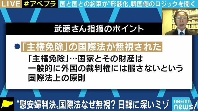 「個人請求権があるとすれば、それは韓国政府に対するもの。問題解決を妨げたのは挺対協やナヌムの家だ」慰安婦訴訟で日本政府に賠償命令、元駐韓大使が強調 3枚目