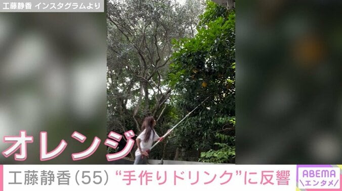 工藤静香、自宅庭でオレンジを収穫する様子