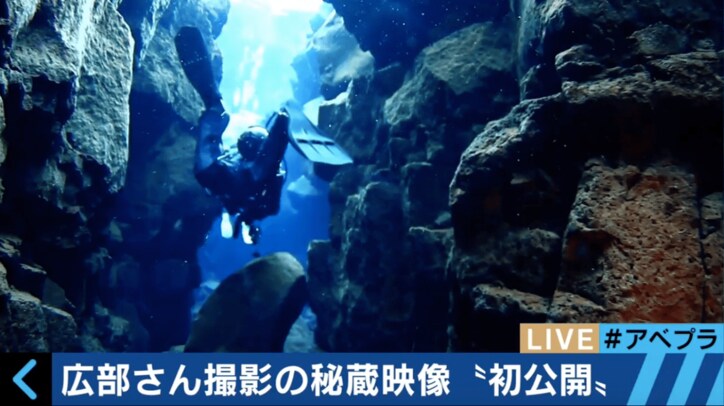 【動画】「ホホジロザメはかわいい」 ロマンを追い続ける水中探検家が海の魅力語る