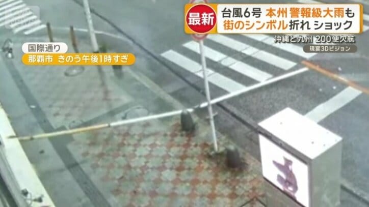 突然、配管のようなものが道路上に