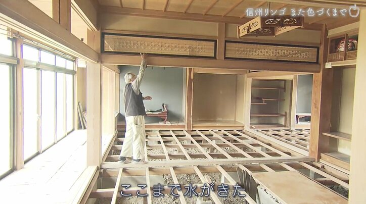 被害総額1億円超、家族とも離れ…それでも地域と仲間のために立ち上がったリンゴ農家