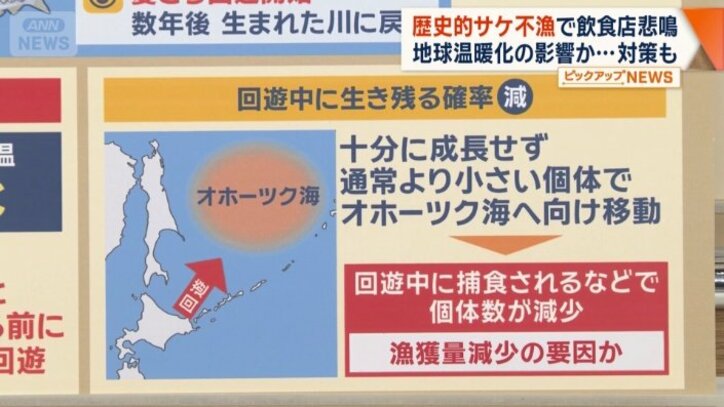 回遊中に生き残る確率が下がる