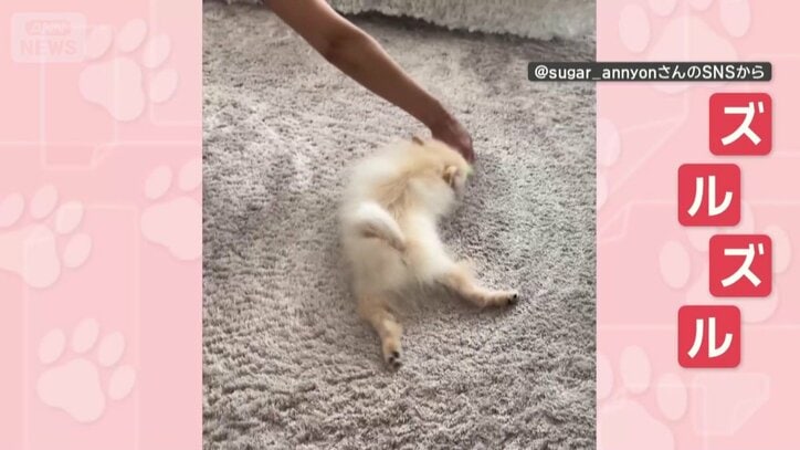 ズルズル…されるがまま！