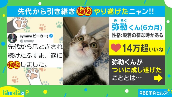 【写真・画像】ピック 1211 2枚目