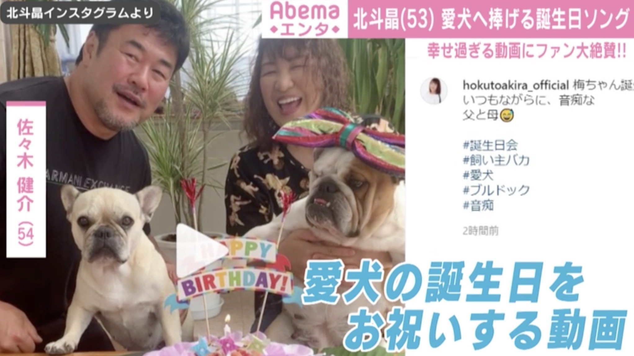 北斗晶 夫 佐々木健介と愛犬の誕生日を祝福 これからも癒してね 幸せな気持ちになれた と反響 芸能 Abema Times