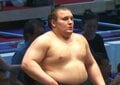 「こんな花束初めて見たわ！」安青錦に贈られた“規格外”すぎる副賞にファンもドン引き「美しき狂気」「ドデカ花束」