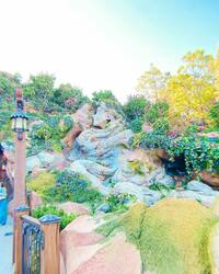 ベッキー『2024/05/15』