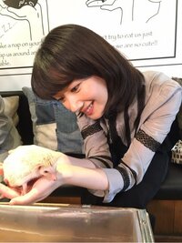 波瑠『ついに明日から。』