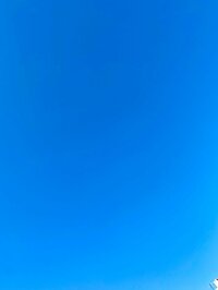 堀ちえみ『やはり太腿青タンかぁ（笑）』