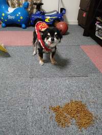 山田花子『恐ろしい保証書！』