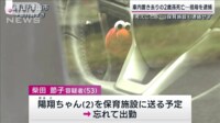 「考えごとを…」車内置き去りの2歳孫死亡 祖母を逮捕