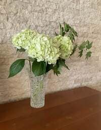 増田惠子『大切なお知らせ』