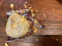 くわばたりえ『☆☆バタる☆365日目☆1年生☆☆』