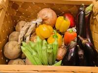 坂上忍『お野菜もらったじょ』