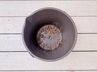 辻希美『セミの抜け殻…』