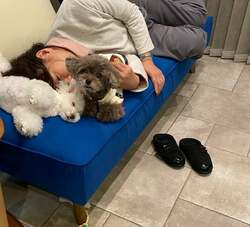  堀ちえみの夫、ソファーで眠る妻を隠し撮り「心配事がなくなって安心したのですね」 