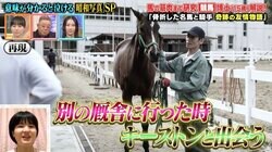 骨折した競走馬は、折れた足で落馬した騎手の元へ…ダービー馬と騎手の絆に阿川佐和子も号泣「ティッシュちょうだい」