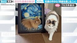 「視線を感じるニャ」名画に潜んだ猫…目が合い“ビクッ”とする猫に「かわいすぎる」「フィット感が良すぎてあまりにも素敵」
