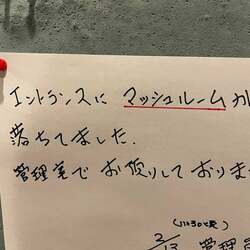 料理研究家・桜井奈々、マンションの掲示板に貼りだされていた内容「あっ。私の」 
