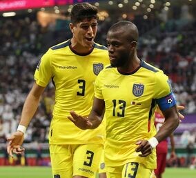 「ゴールを盗まれた！」「どこがオフサイドなんだ？」W杯開幕戦の得点取り消しにエクアドルのファンが怒り爆発！