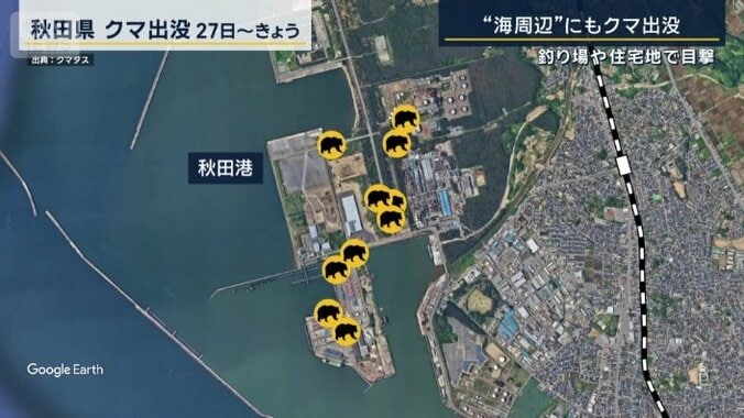 クマの目撃情報