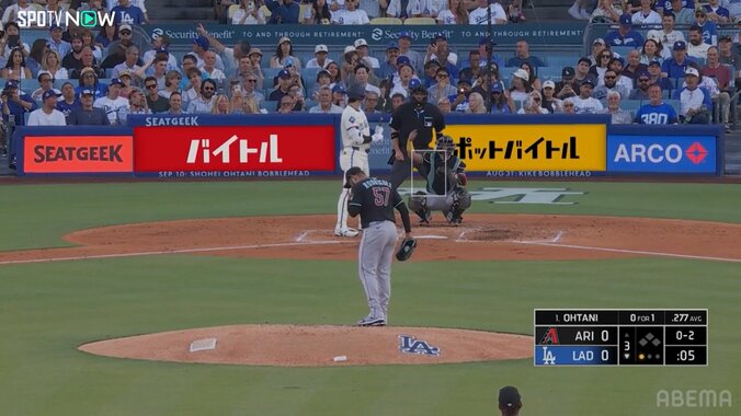 【写真・画像】　2枚目