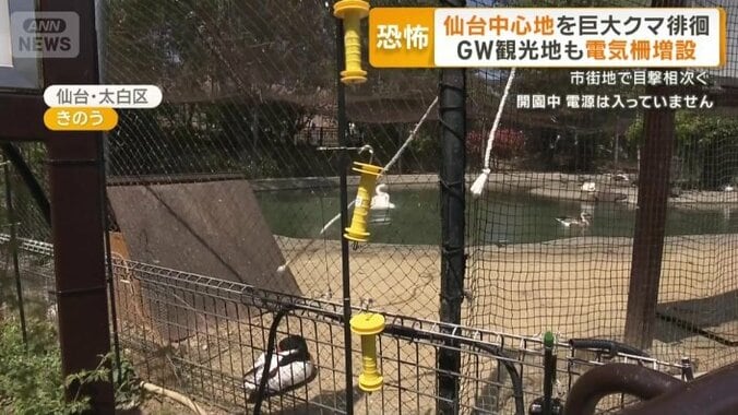 電気柵を増設