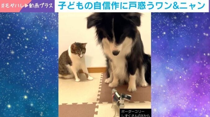 しずくちゃんとバロンくん