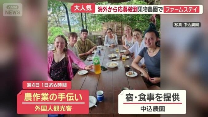 代わりに宿と食事を提供