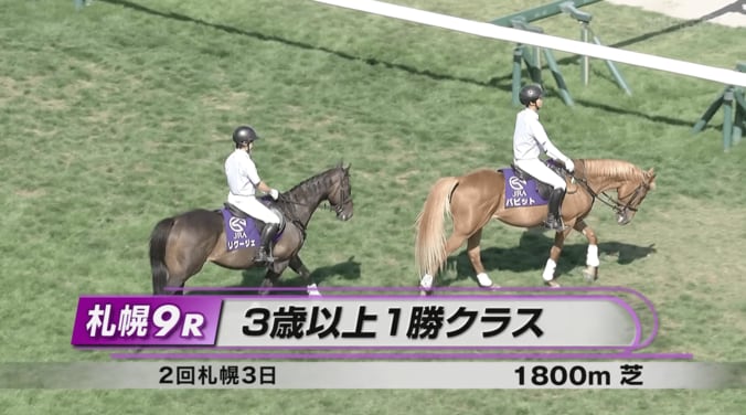 たてがみと尻尾に注目！ 尾花栗毛の人気誘導馬“どアップ姿”
