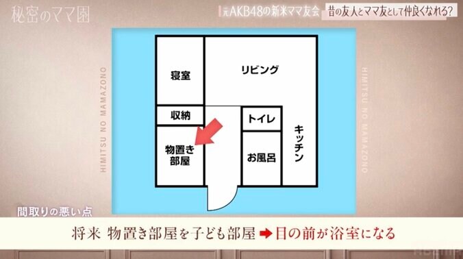 【写真・画像】「収納スペースが多い家はレスになりにくい」31歳差婚・山本圭一&西野未姫の自宅間取りを診断　2枚目