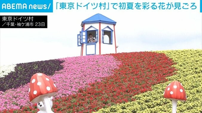 東京ドイツ村