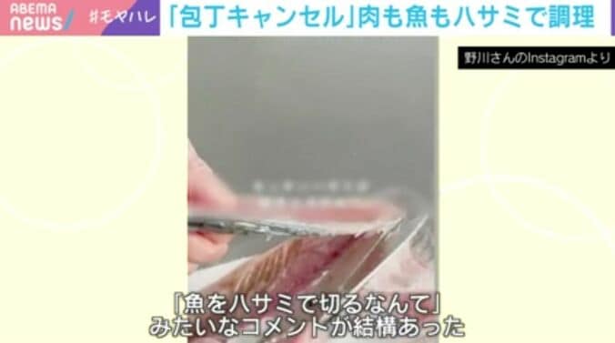野川氏のInstagramより
