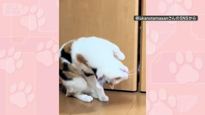 首をかしげるあまり！