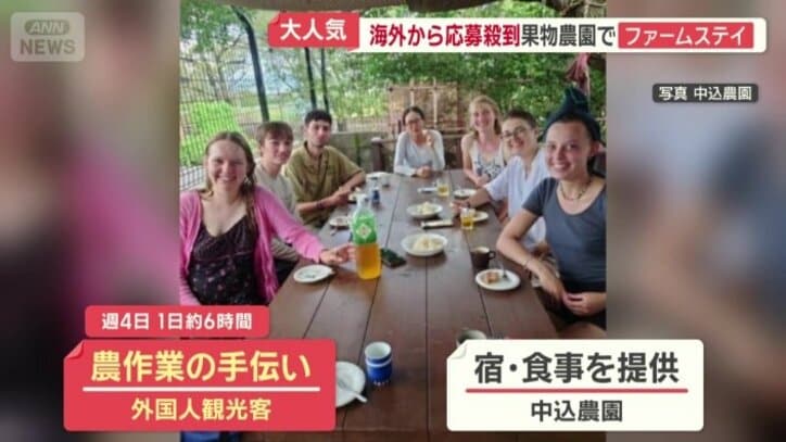 代わりに宿と食事を提供