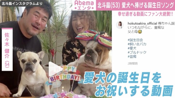 北斗晶、夫・佐々木健介と愛犬の誕生日を祝福 「これからも癒してね」「幸せな気持ちになれた」と反響