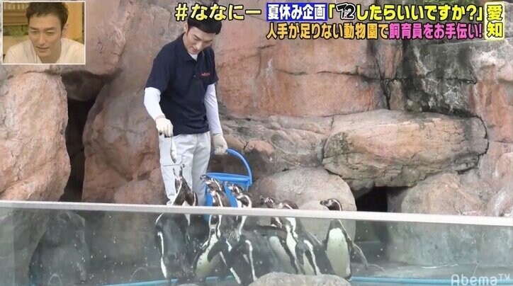 草なぎ剛、ペンギンの餌やり手伝うも“猛攻撃”に悲鳴「みんなで来られると怖かった」
