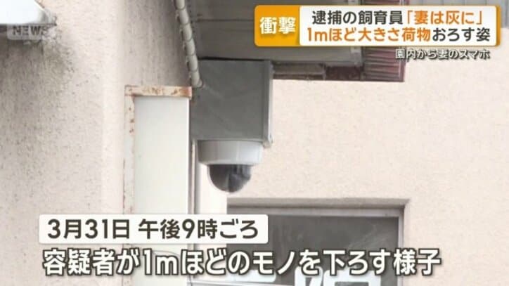 1mほど大きさ荷物おろす姿
